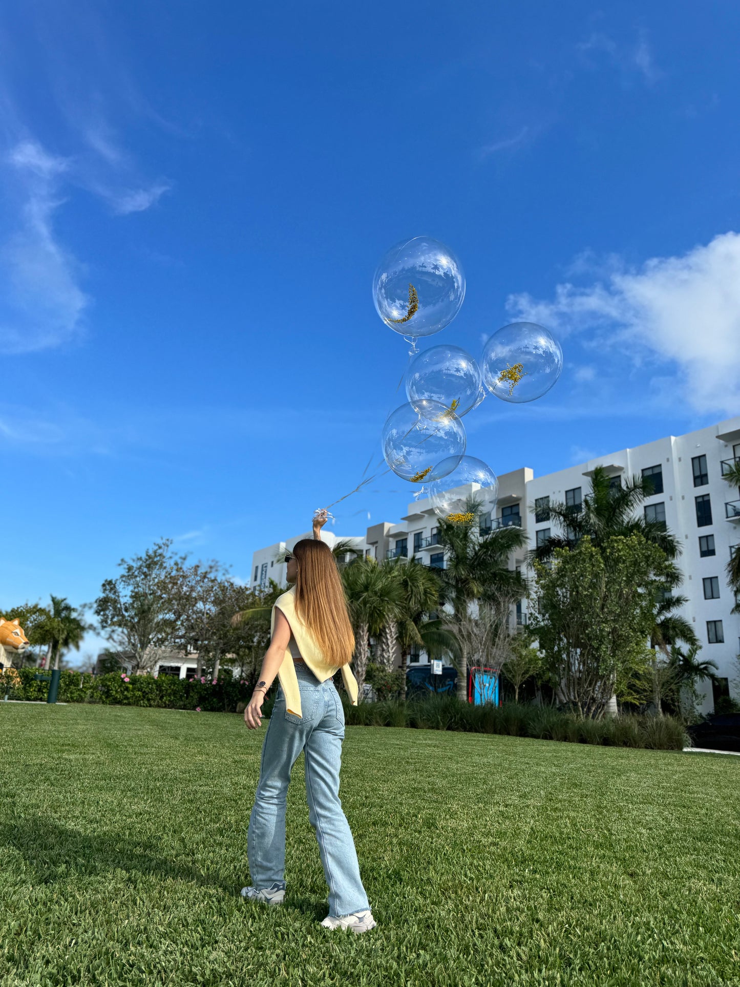 Huge mimosa balloons