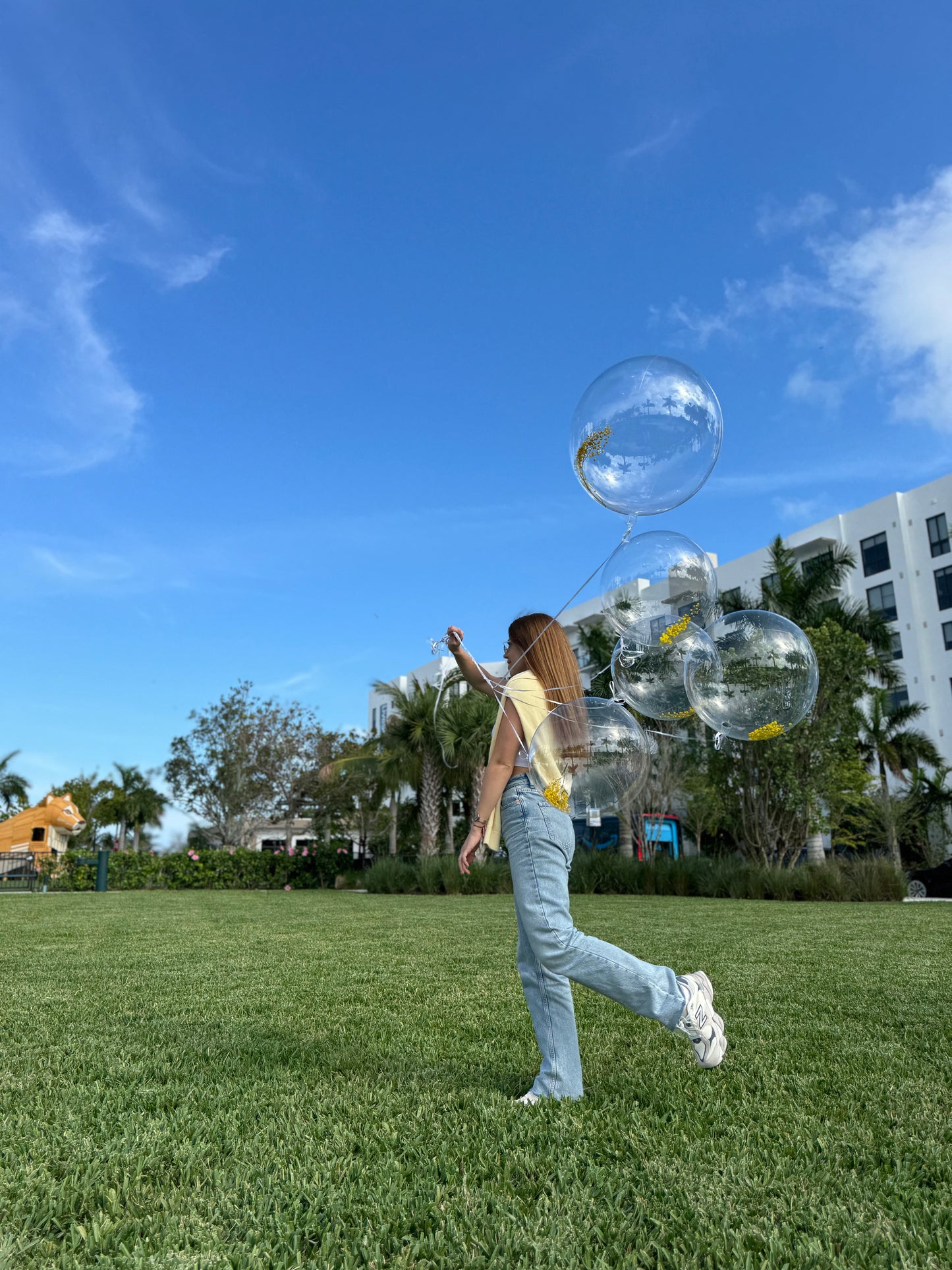 Huge mimosa balloons