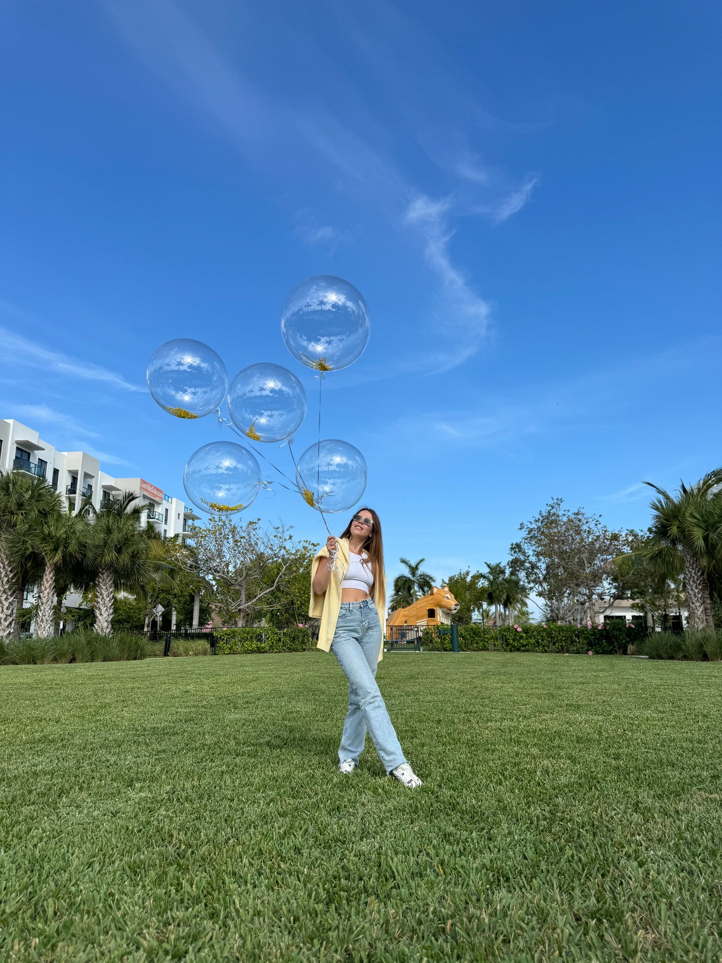 Huge mimosa balloons