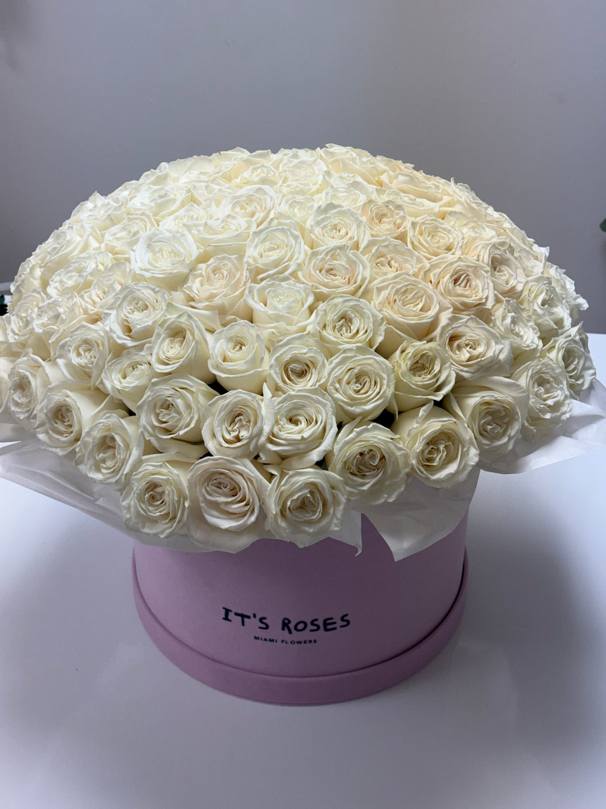 100 white roses in Luxury pink box