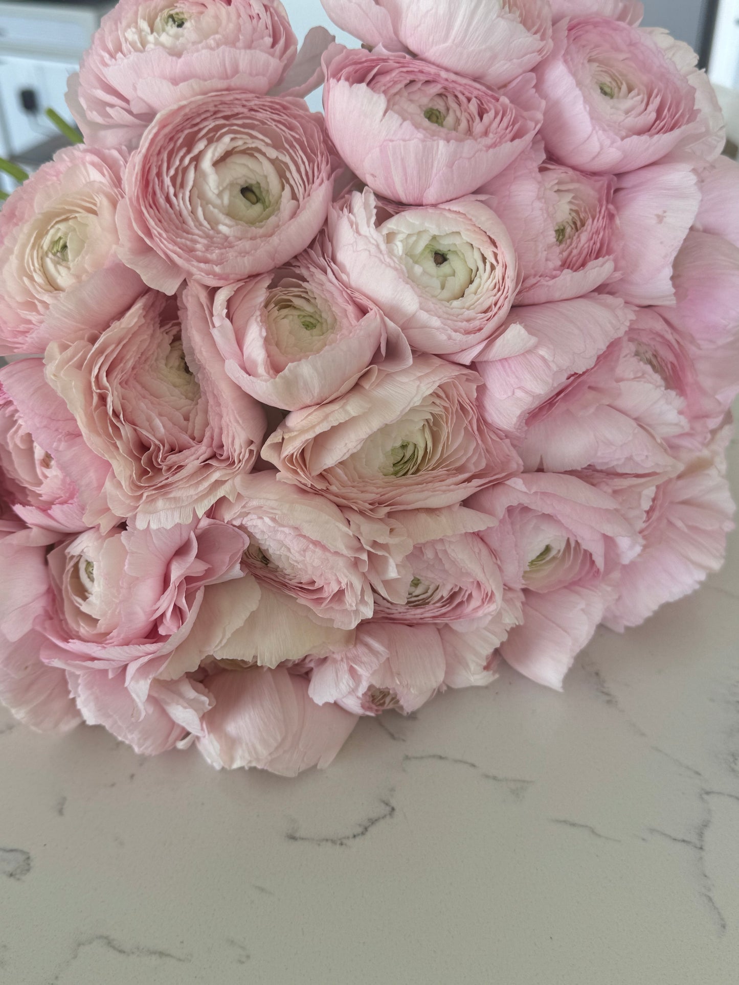 Ranunculus bouquet