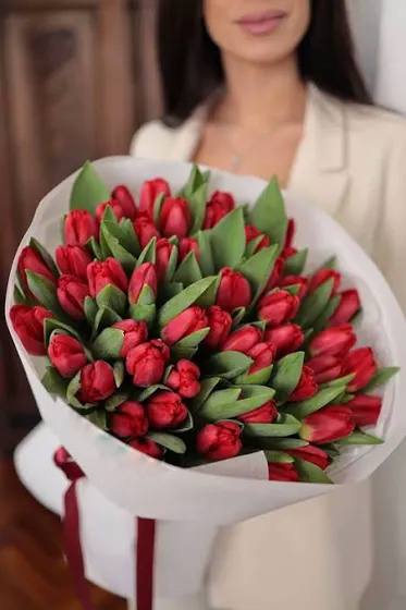 Red tulips