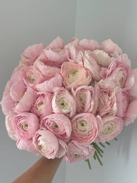Ranunculus bouquet