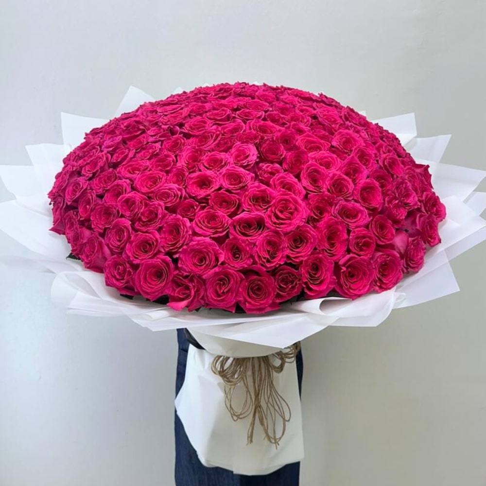 150 hot pink roses Miami