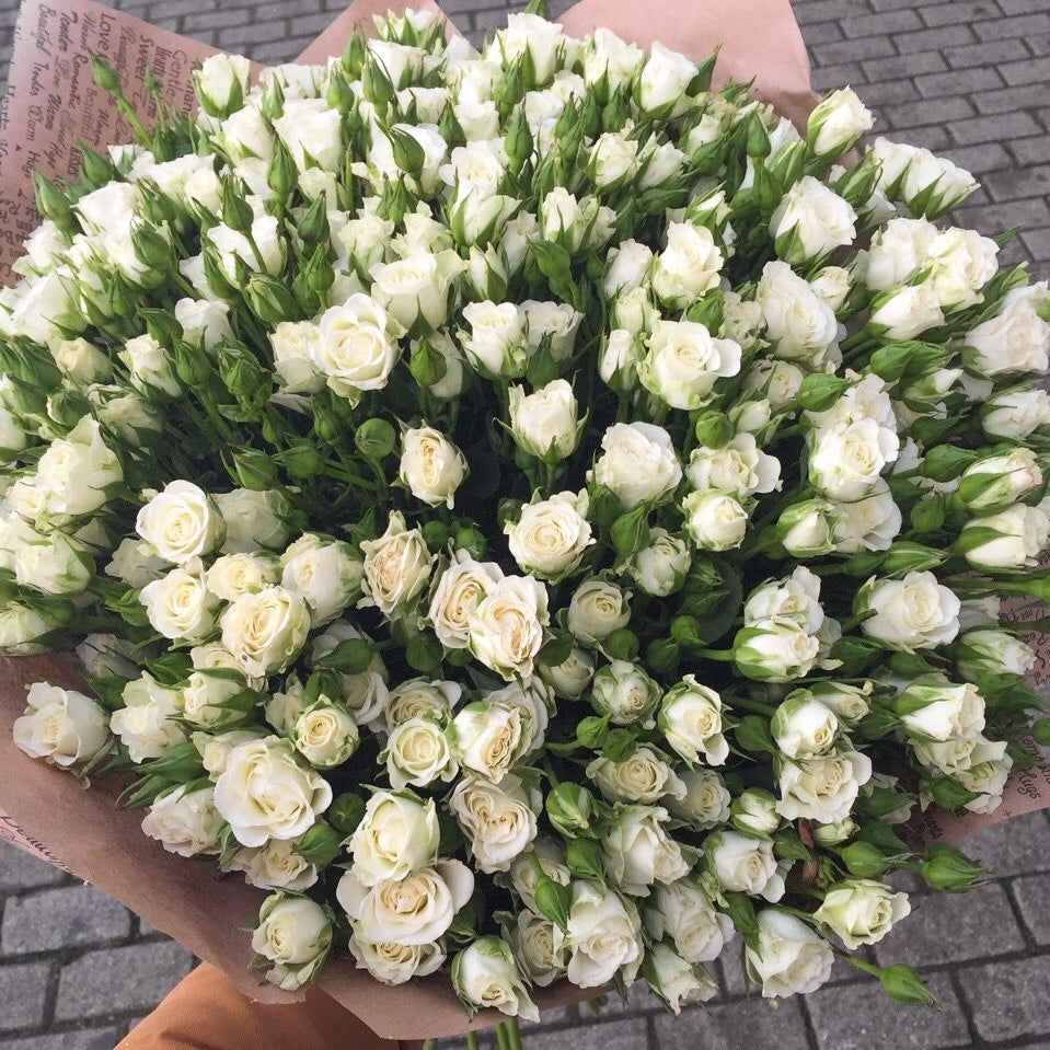 WHITE SPRAY ROSES