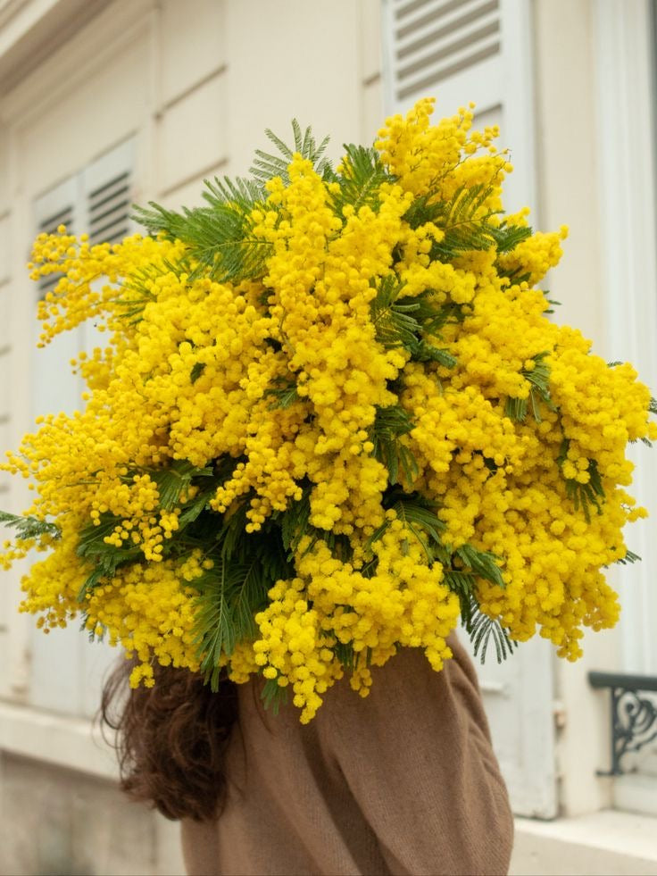 MIMOSA BOUQUET