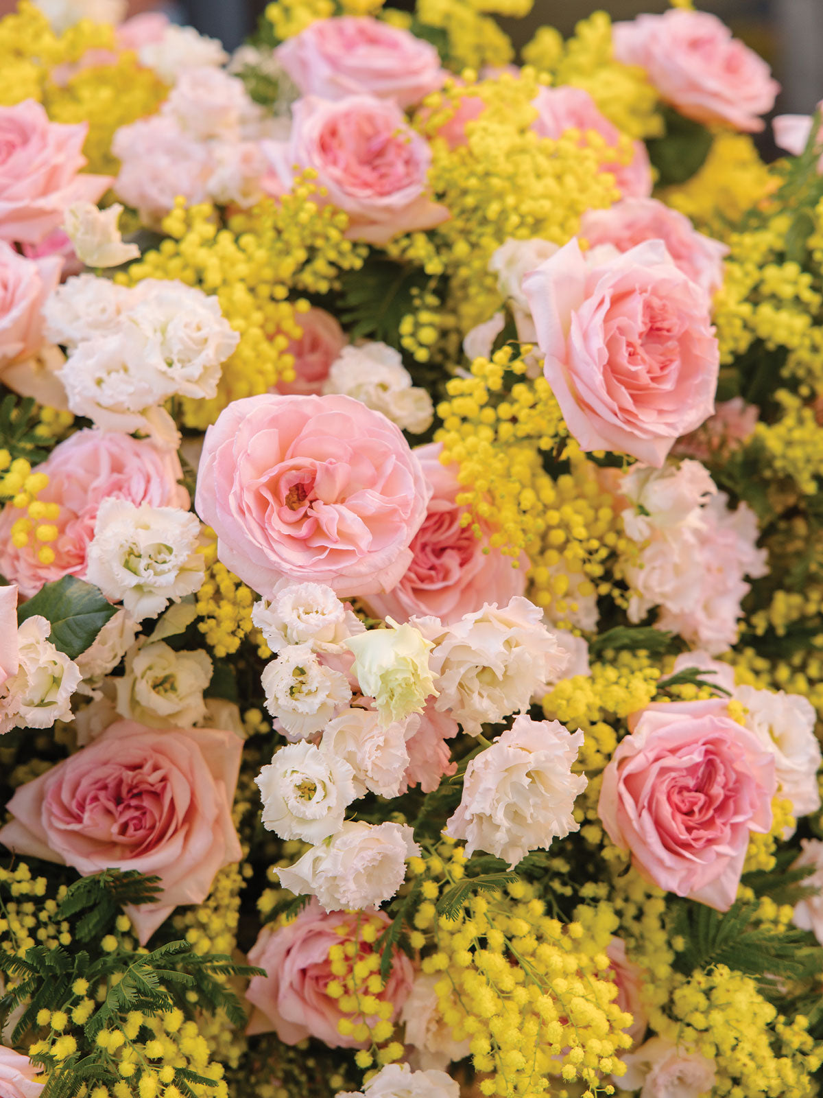 BLOOMING SYMPHONY