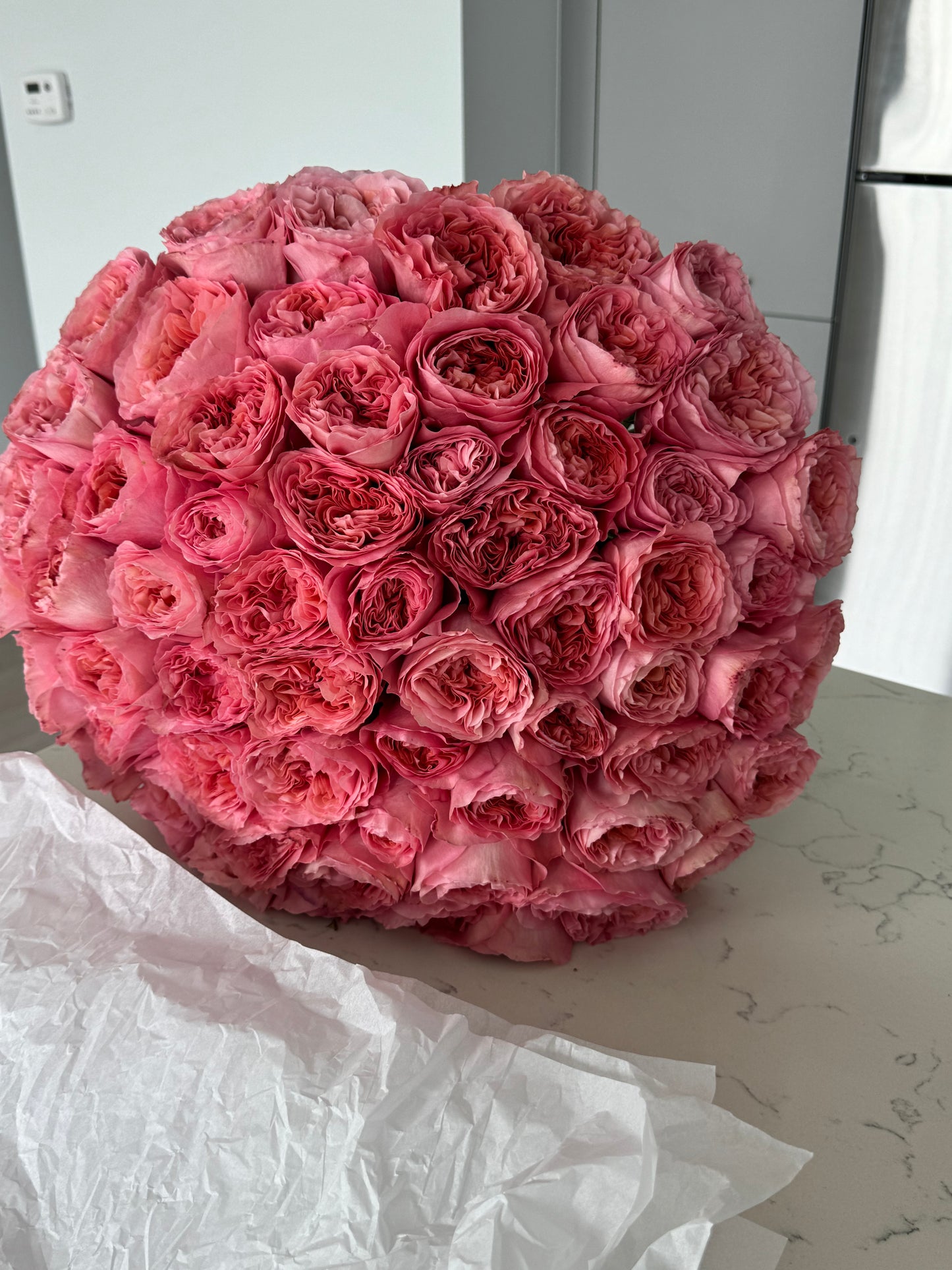 75 PINK EXPRESSION ROSES