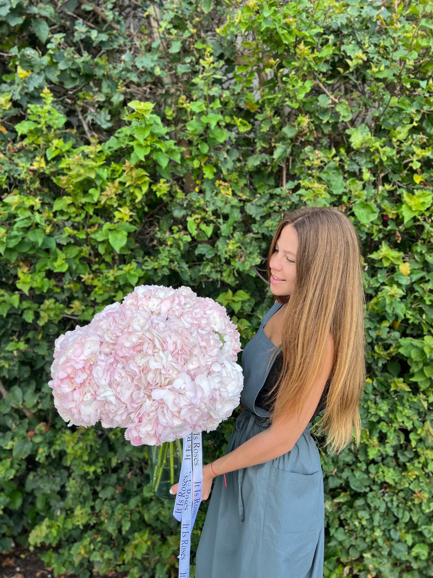 PINK PREMIUM HYDRANGEAS