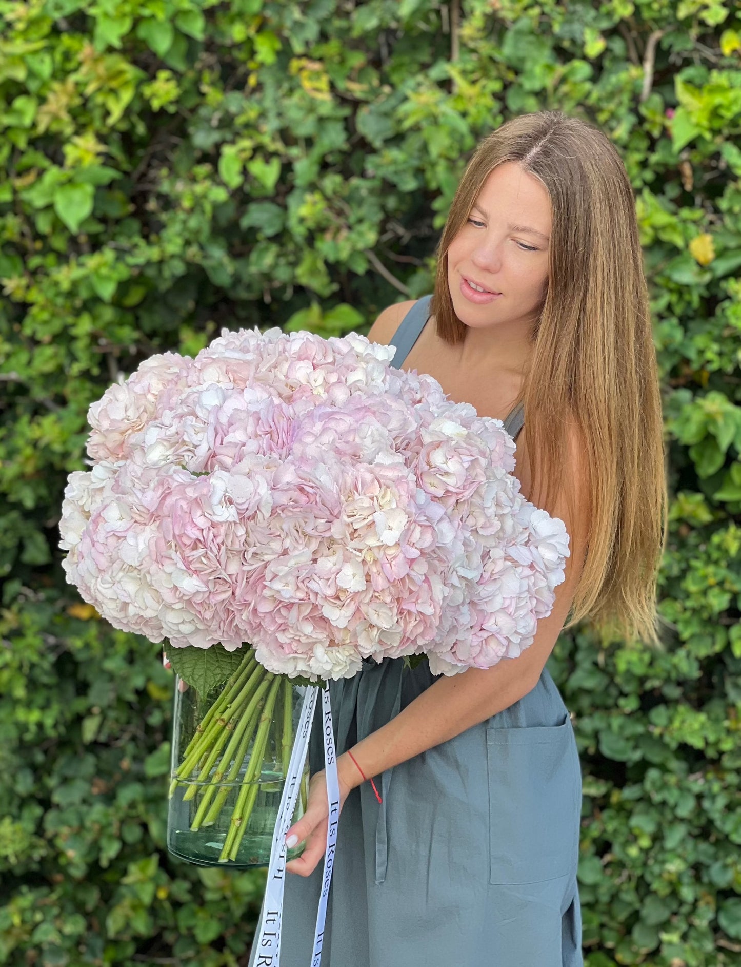 PINK PREMIUM HYDRANGEAS