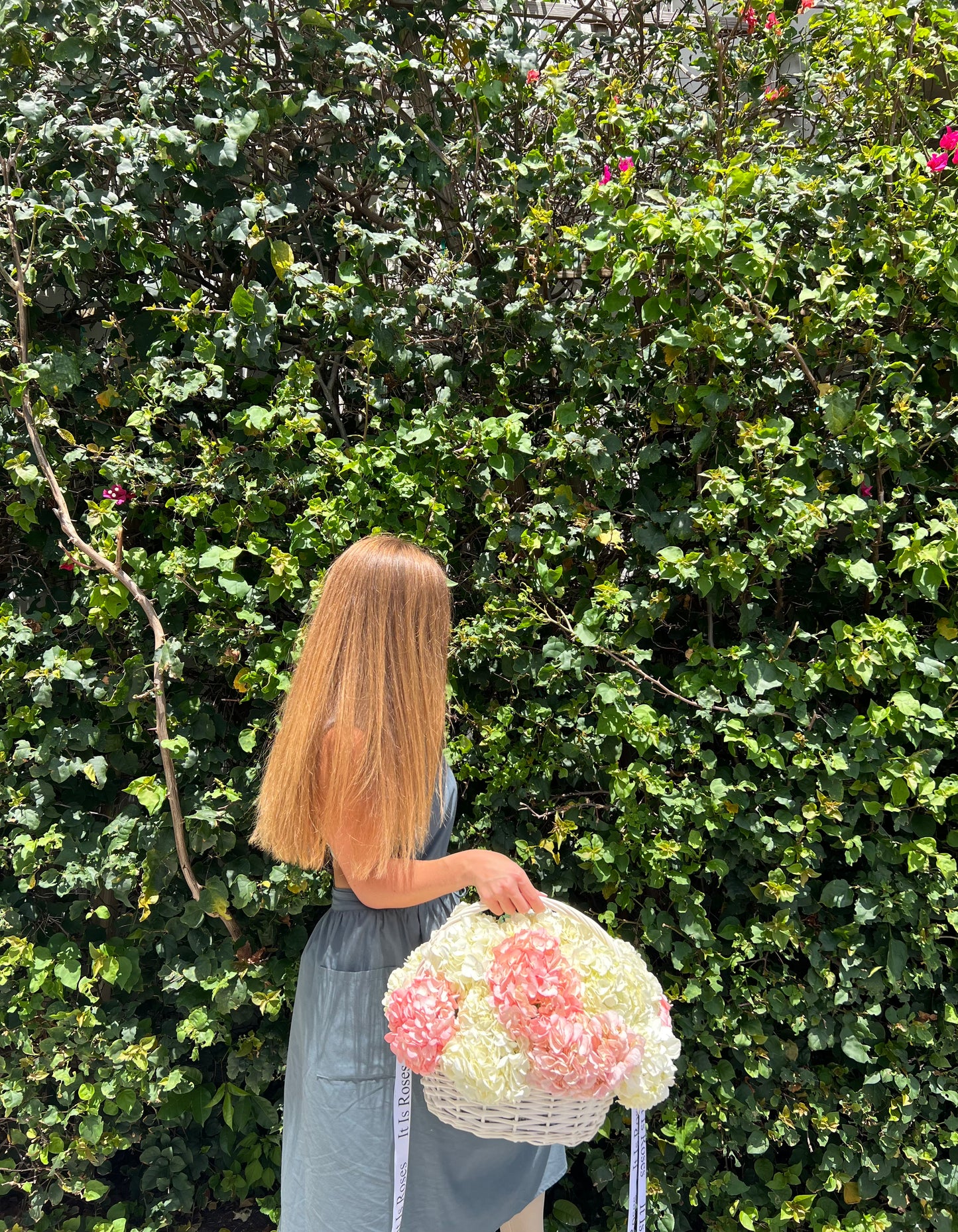 Basket with hydrangeas