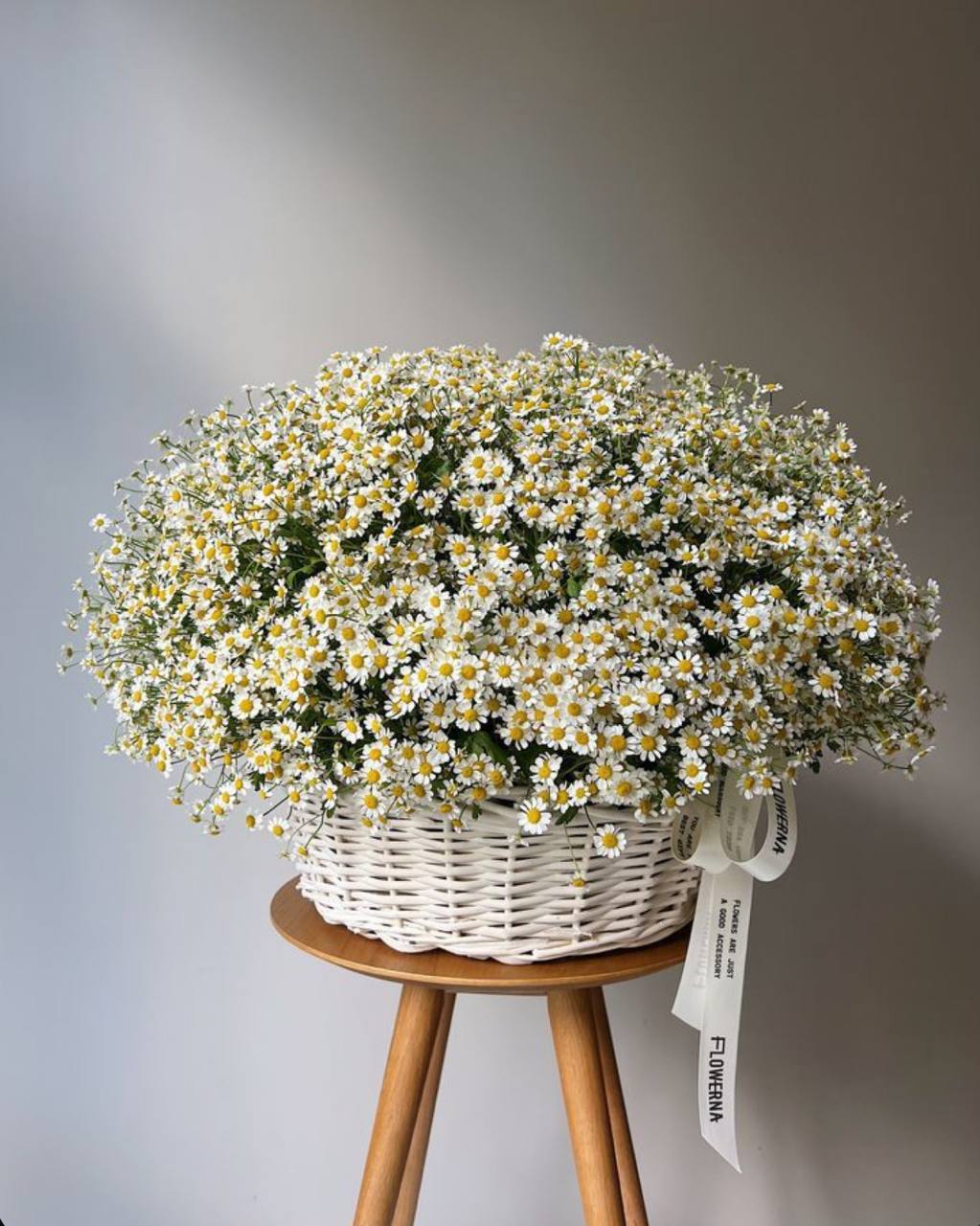 DAISIES