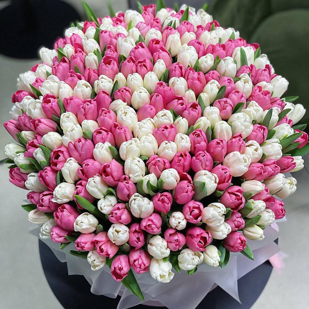 PINK & WHITE TULIPS BOX