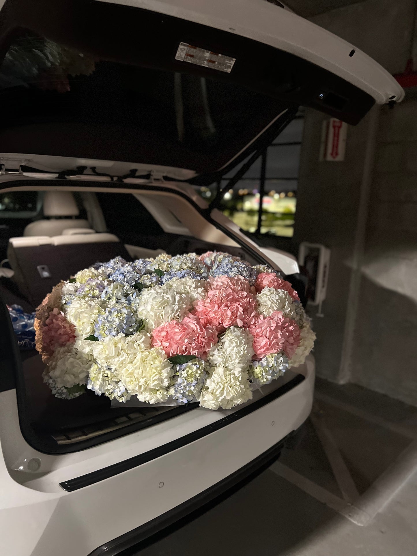 Huge hydrangeas arrangement