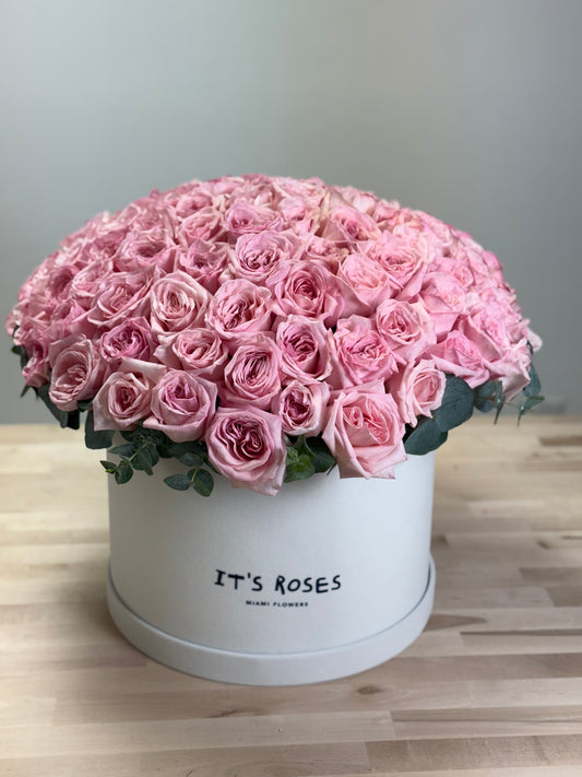 Pink elegance roses box