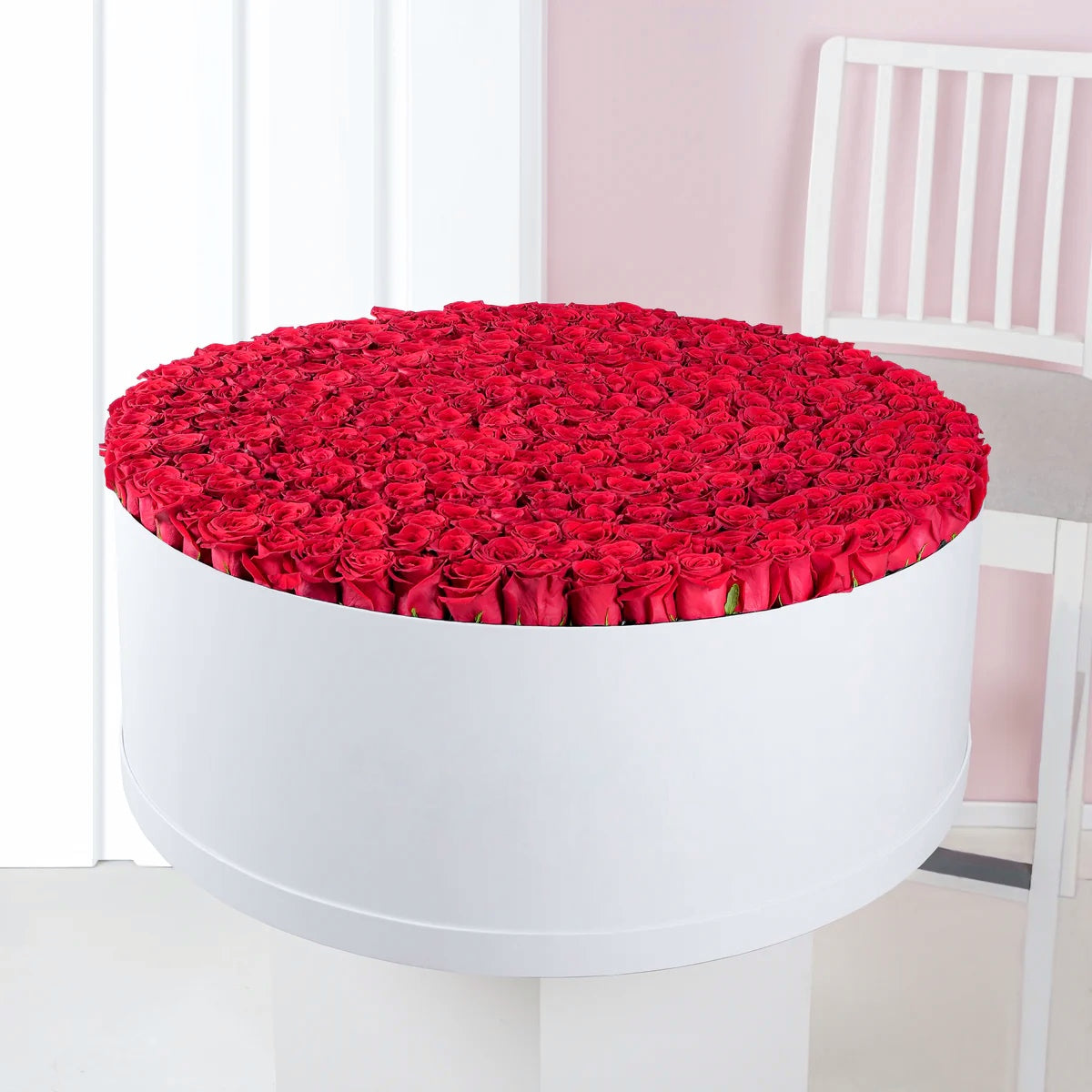 Crimson Symphony– 500 Red Roses Box