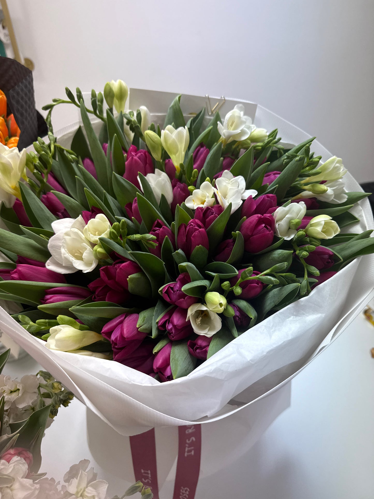 Raspberry Tulip Dream