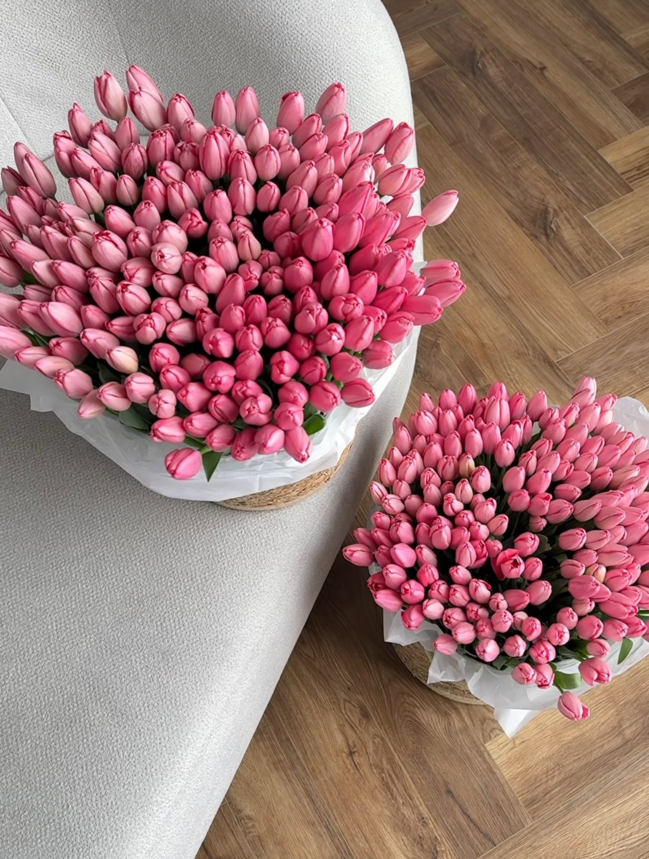 100 Pink tulips basket