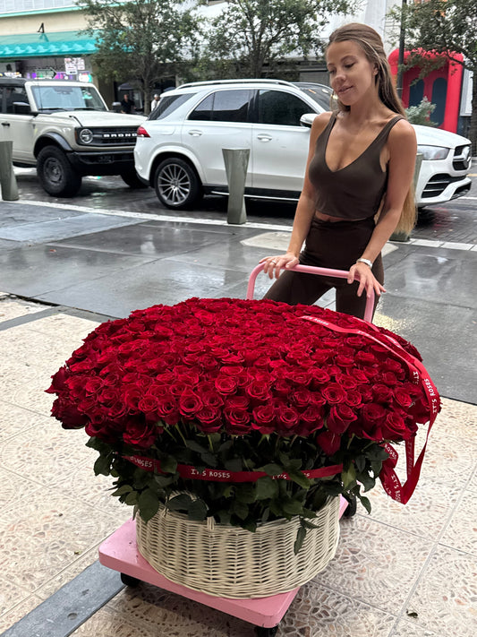 Luxury red roses basket