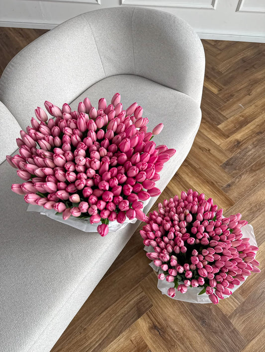 100 Pink tulips basket