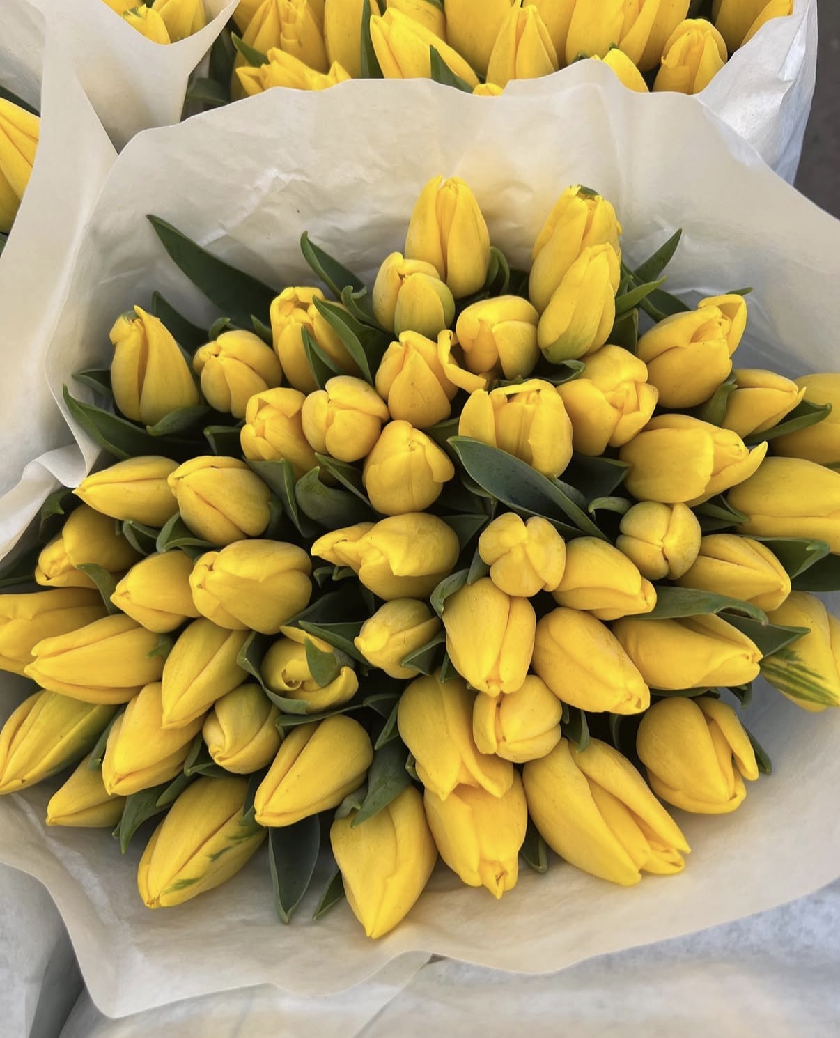 Yellow tulips bouquet