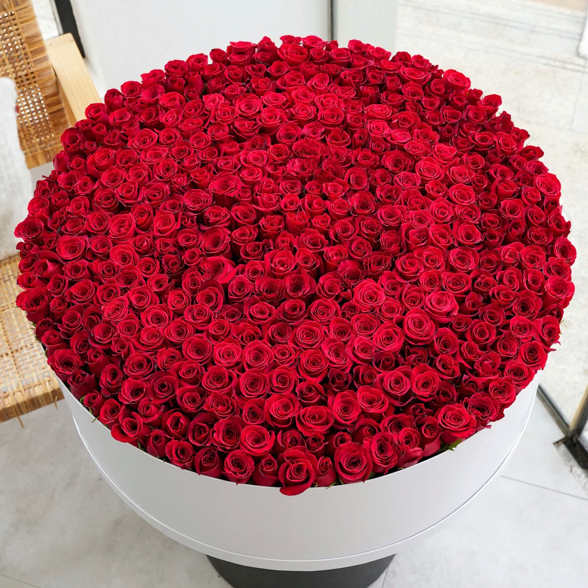 Crimson Symphony– 500 Red Roses Box