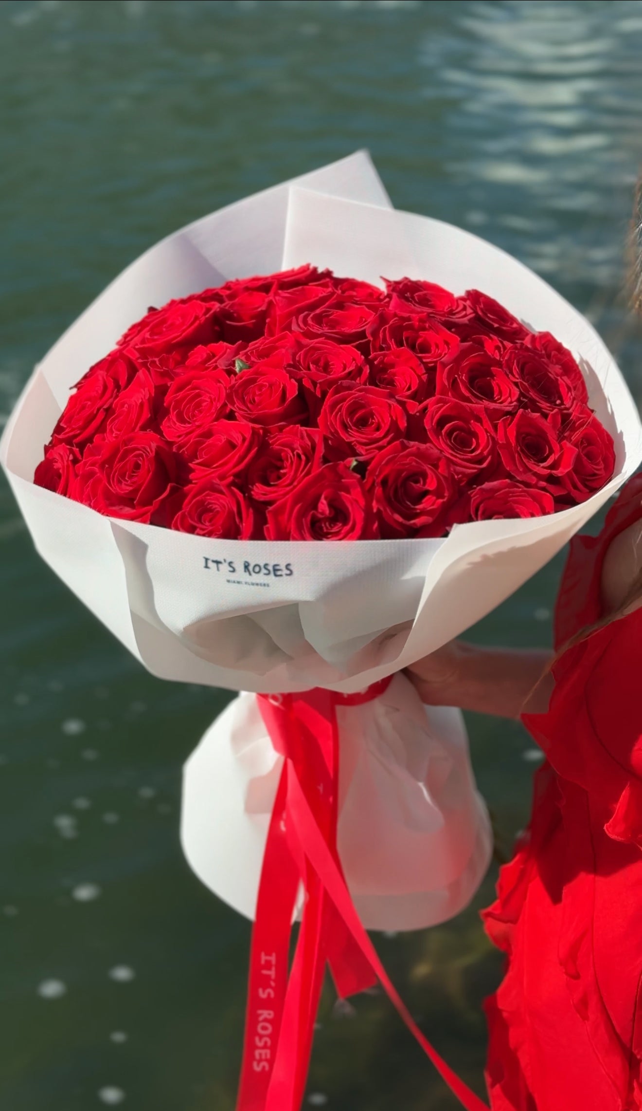 Miami red roses delivery 