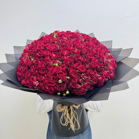 100 red spray roses