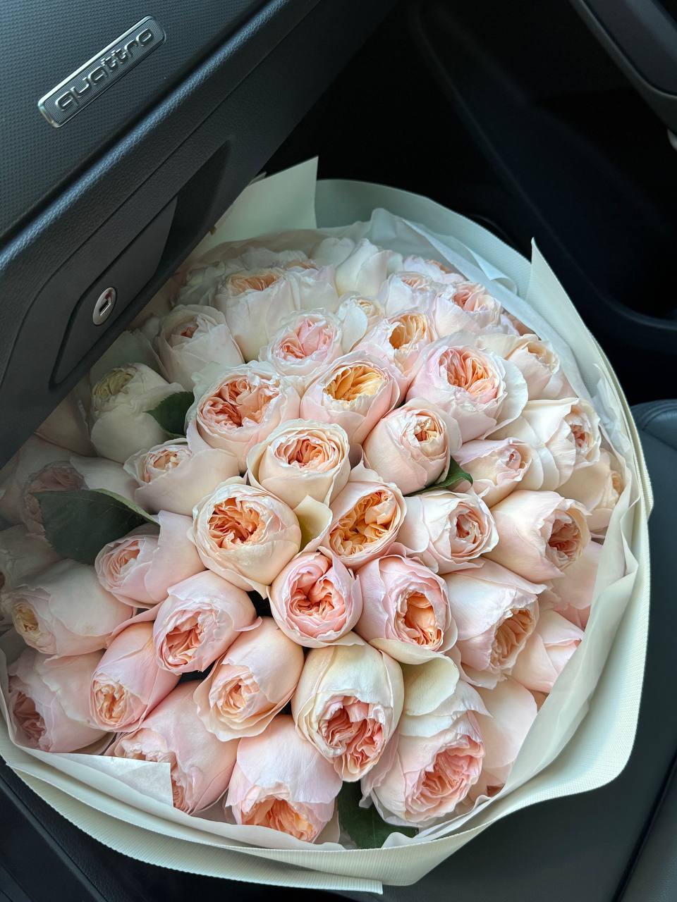 David Austin Juliet Roses