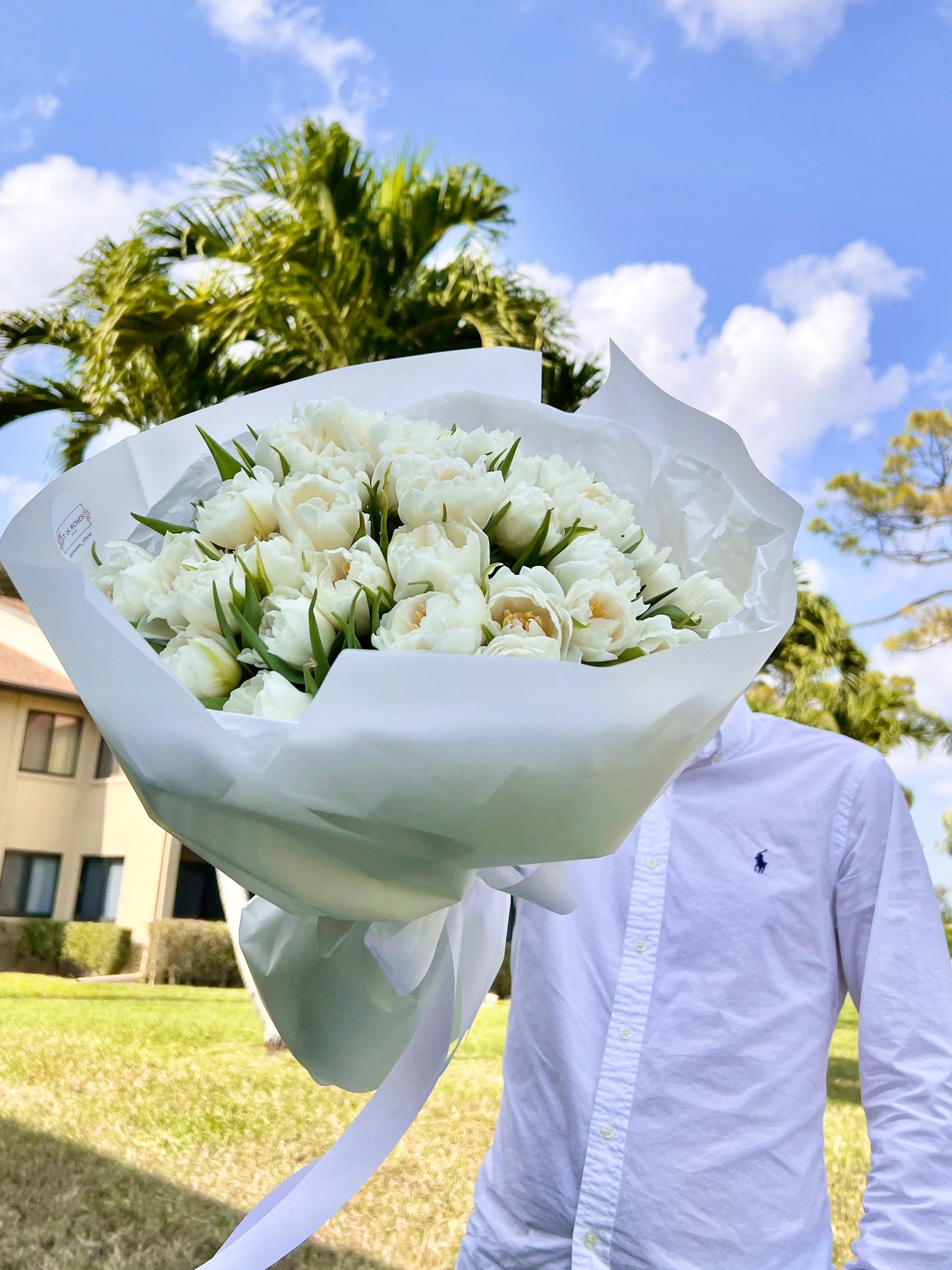 Bouquet of tulips