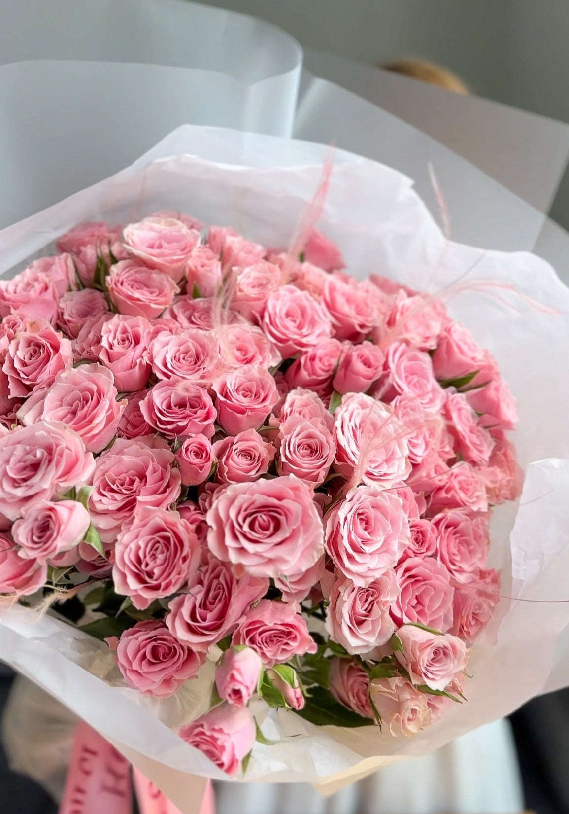 Pink Spray Roses