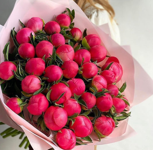 Bouquet of 35 Coral peonies
