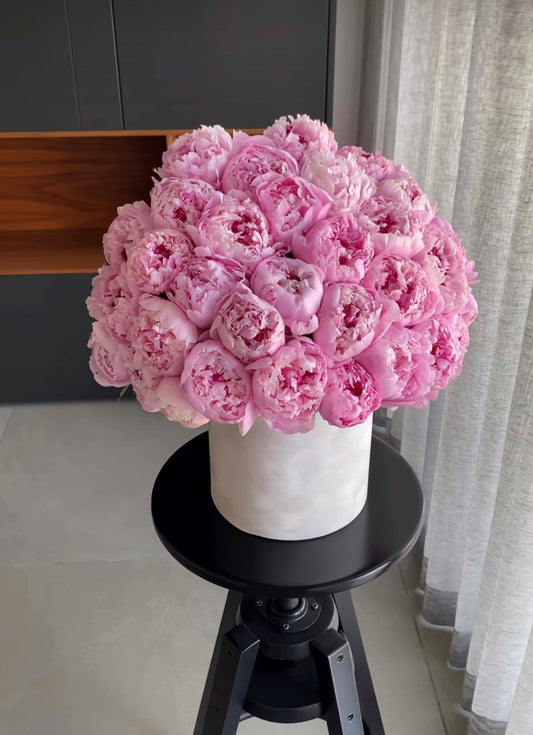50 PINK PEONIES IN BOX