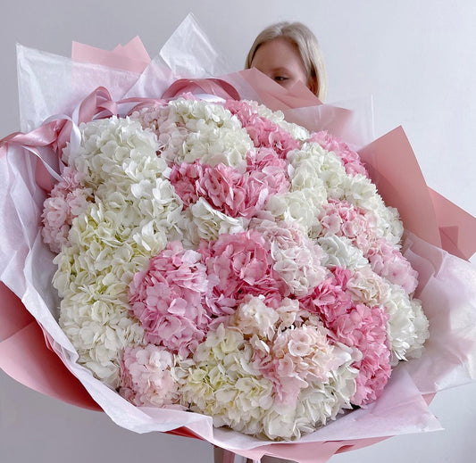 Bouquet of white & pink hydrangeas